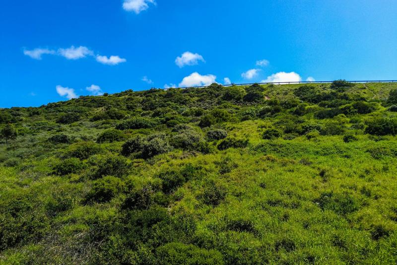 0 Bedroom Property for Sale in Diaz Industria Western Cape